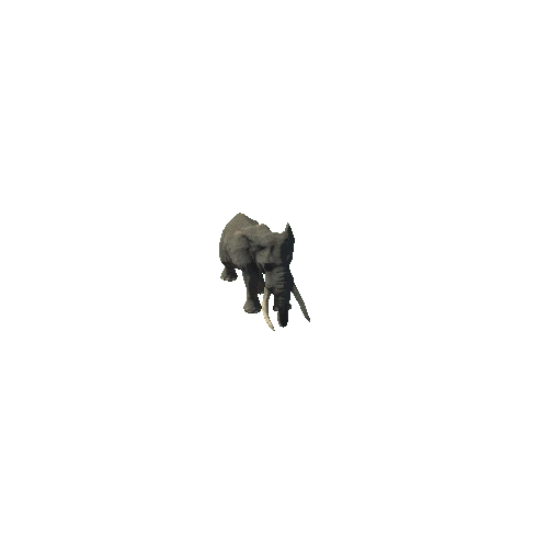 elephant_ii_sv_ip (2)